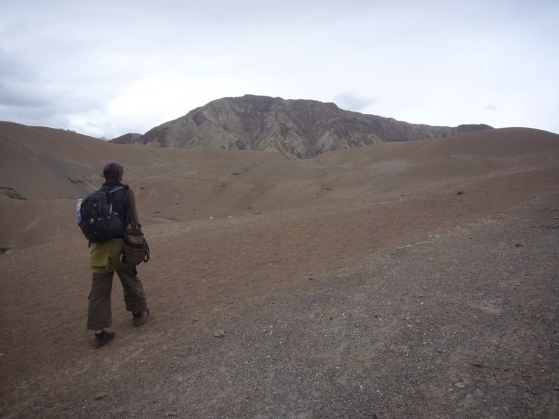 Travel - India - Ladakh - Trip to Alchi - Sand Dunes